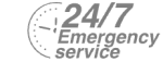24/7 Emergency Service Pest Control in Mayfair, Marylebone, W1. Call Now! 020 8166 9746