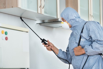 Home Pest Control, Pest Control in Mayfair, Marylebone, W1. Call Now 020 8166 9746